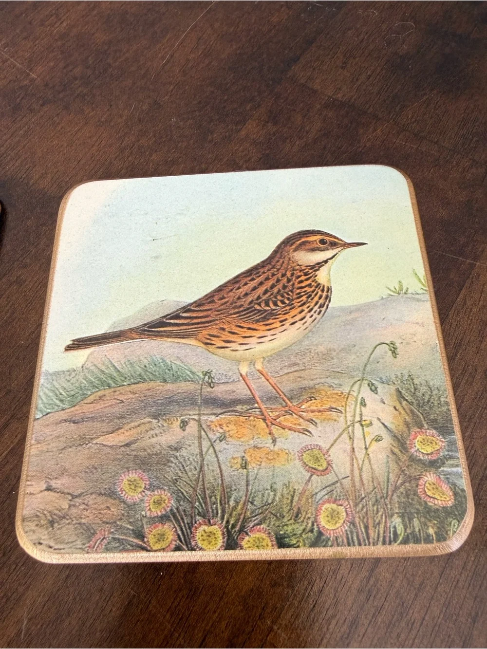 Vintage Bird Cork Back Coaster Set of 3 Cottagecore Nature Decor